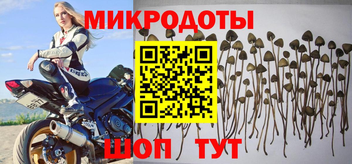 Псилоцибиновые грибы ЛСД Мурино
